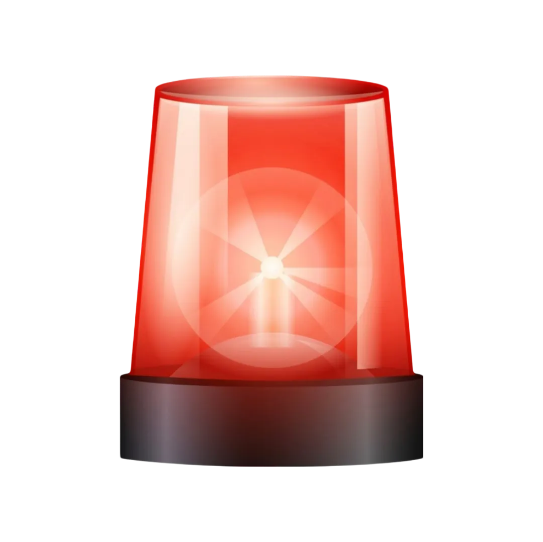 Alarm System